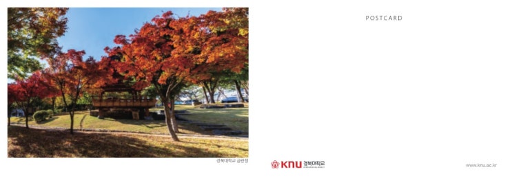  2022대입 경북대 치의예과(치대) 모집 시기별 정원/선발 방법/수시 수능 최저학력기준을 한눈에~~