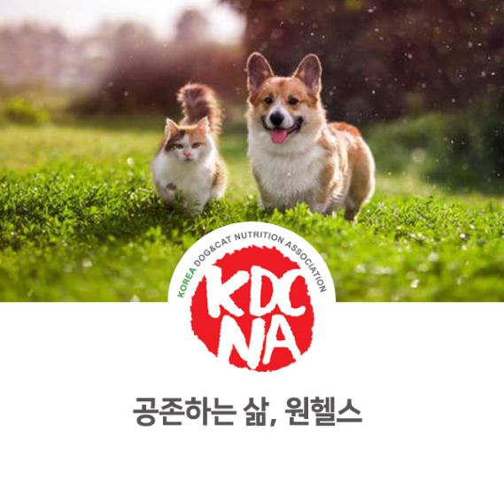  원헬스, 생명체가 사는 세상에서 생각해 보기[한국반려동물영양협회/펫영양사/완자애밥/펫푸드수업/자격증/애견수제간식창업/강아지간식/광주/나주/울산/부여/부산]_879