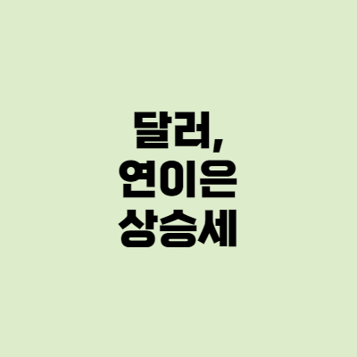  [달러투자] 집나간 짚신 장수가 돌아오지 않는다