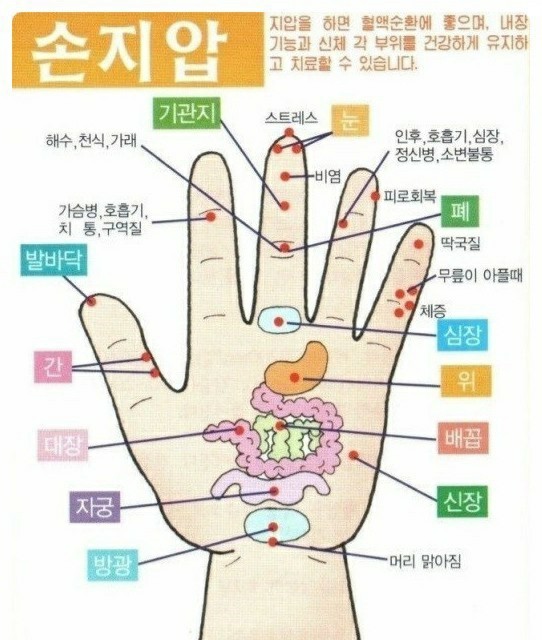  웰빙박수법 8가지ㆍ바로 효과보는 손 마사지 10가지