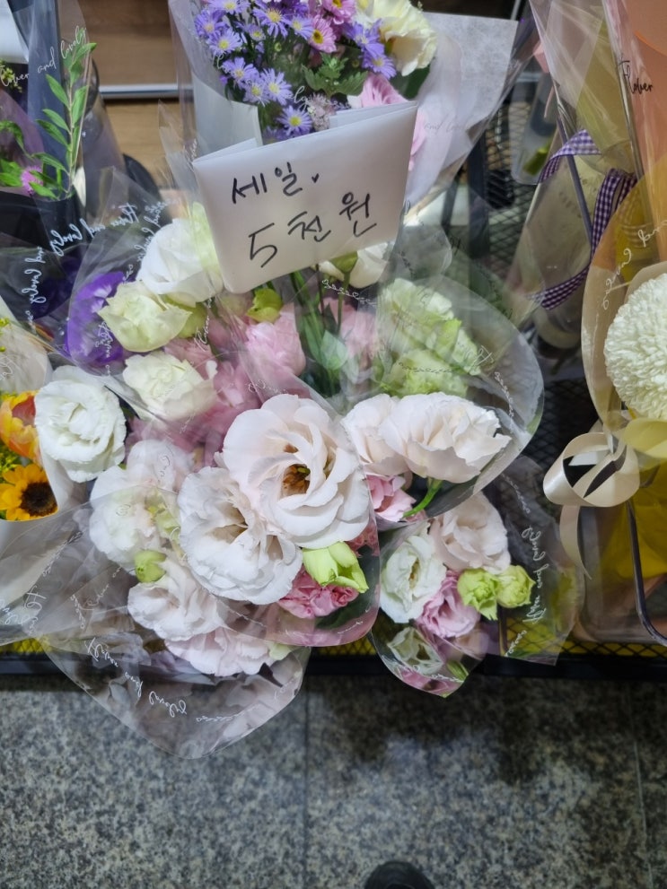  자전거 절도 사건으로 입건되었다면