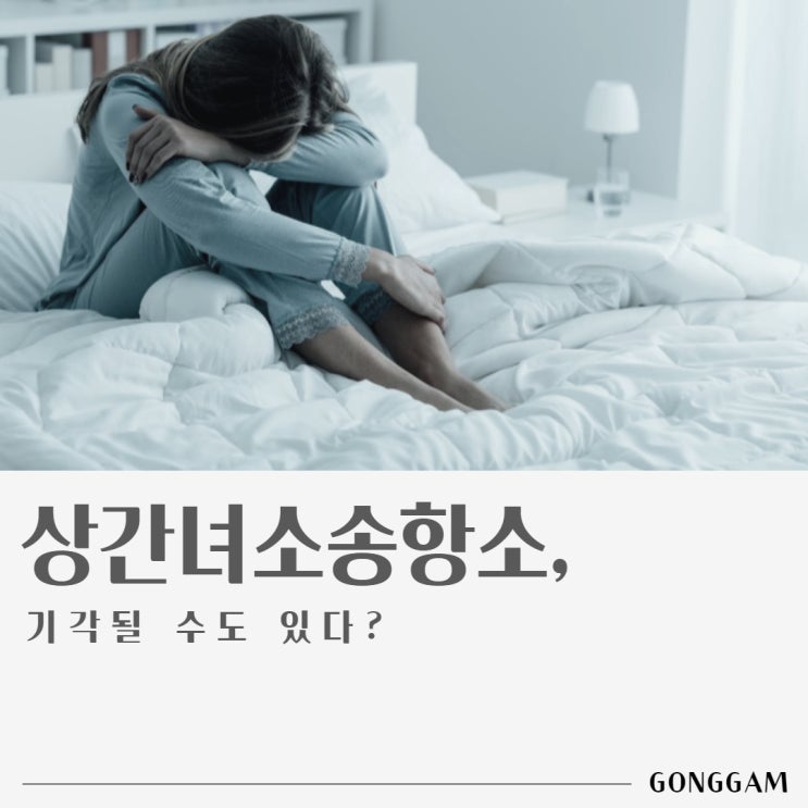 상간녀소송항소, 기각될 수도 있다? 상간녀소송항소, 기각될 수도 있다?