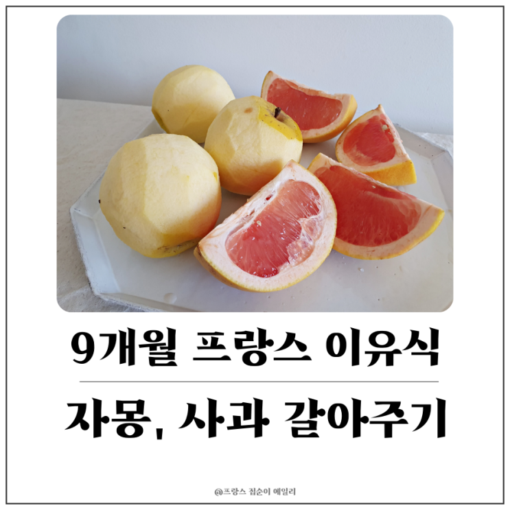  [9개월 아기 프랑스 이유식] 새콤달콤 자몽, 사과 갈아만든 스무디