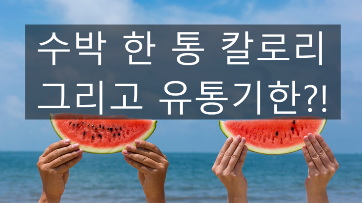  수박 한 통 칼로리와 유통기한?! 간단명료하게~