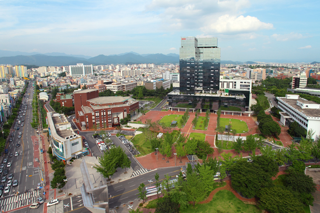  2022대입 경북대 수의학과(수의대) 시기별 모집 인원과 선발 방법 및 수능 최저학력 기준 총정리