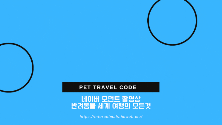  반려동물 강아지 고양이 해외운송 검역 반려견 반려묘 출국 입국 전문서비스