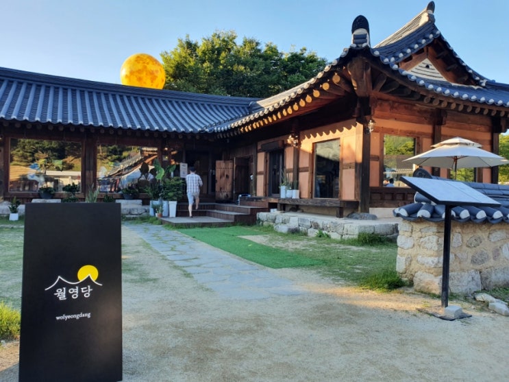  [안동볼거리] 강철부대 이진봉카페 월영당 _월영교 문보트 안동댐_
