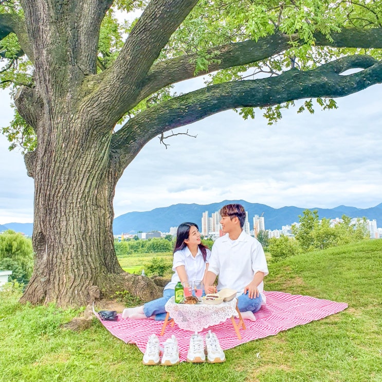  경산 피크닉 하기 좋은 곳, 임당동고분군으로 나들이 가요!