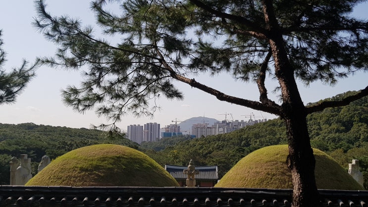  김포장릉 인근 검단신도시 아파트 공사중지명령 효력정지 소송 경과 등(2021. 9. 30. 현재)
