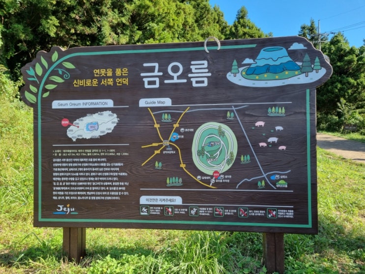 제주도오름여행 추천 금오름, 제주도 가을 명소 금오름