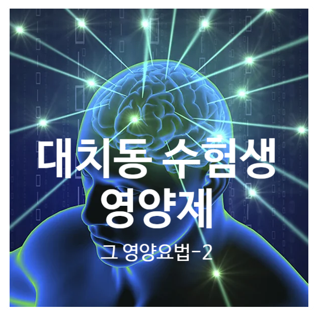 대치동 수험생 영양제와 영양요법-2