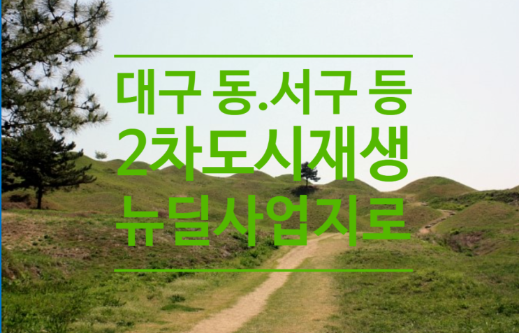  대구 동구 서구 영덕 고령 봉화 김천 2차 도시재생 뉴딜 사업지로