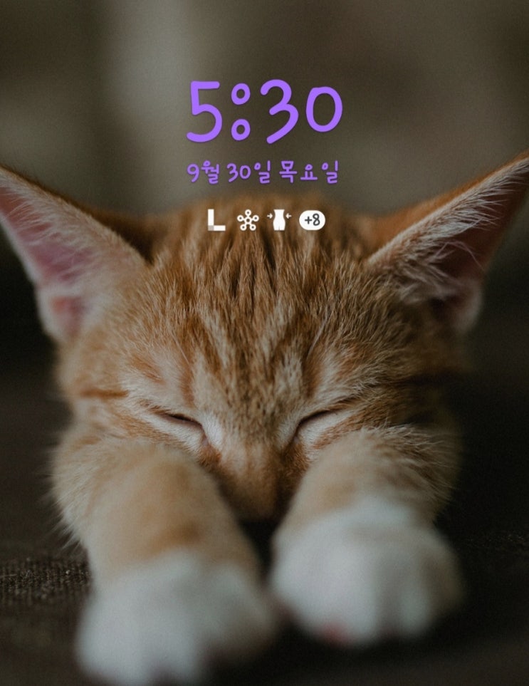  [미라클모닝 D-56]널리 인연을 맺고 깊게 배려한다.