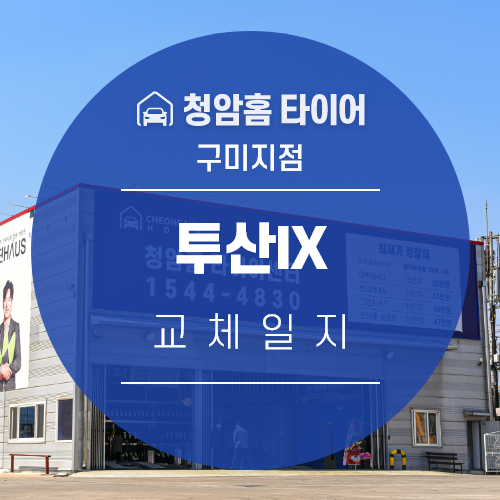 [구미지점] 투산IX : 한국 다이나프로 HL3