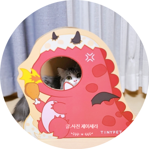  귀여움에 끝판왕 리스펫 공룡 스크래쳐 매력에 고양이들이 흠뻑 빠졌어요