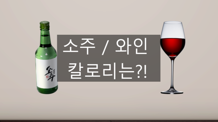  소주 / 와인 칼로리 - 제 눈을 의심해봤습니다...