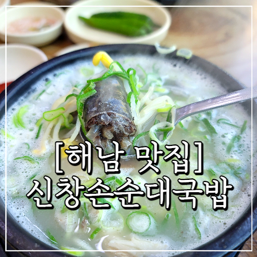 해남 맛집, 오션뷰 전망 신창손순대국밥