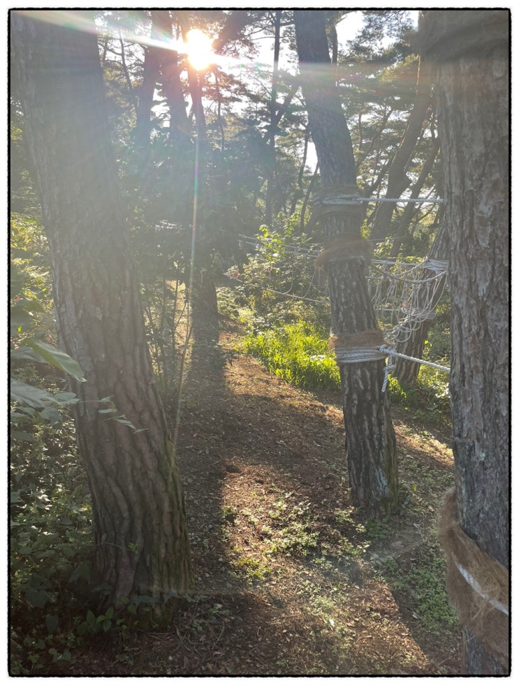  함양산삼항노화엑스포!! 꿈의상상놀이터에서 자연과 함께하는 활동~