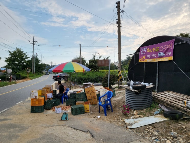  강화 호박 고구마 맛있습니다~!