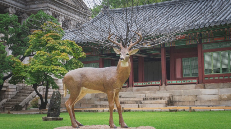 덕수궁 프로젝트 2021: 상상의 정원