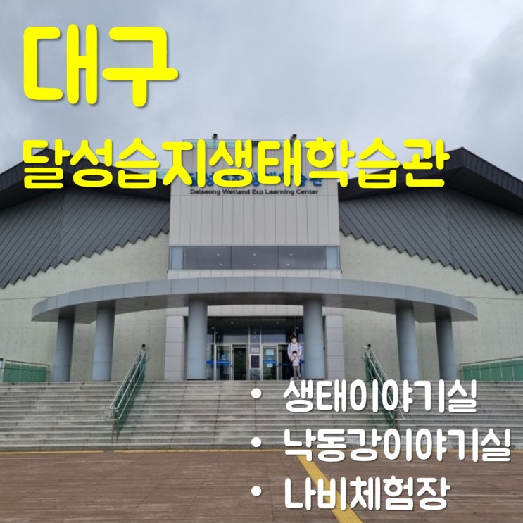  달성습지생태학습관-생태이야기실/대구 아이와 가볼 만한 곳