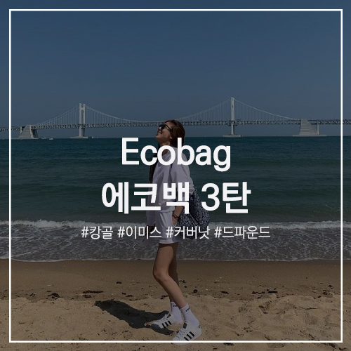 Ecobag 에코백 3탄 : 21FW 가을 신상 캔버스백부터 연예인 협찬 브랜드까지! 캉콜 이미스 커버낫 드파운드 베스트 가방 추천 w. 손담비 정유미 강민경 안소희 김나영