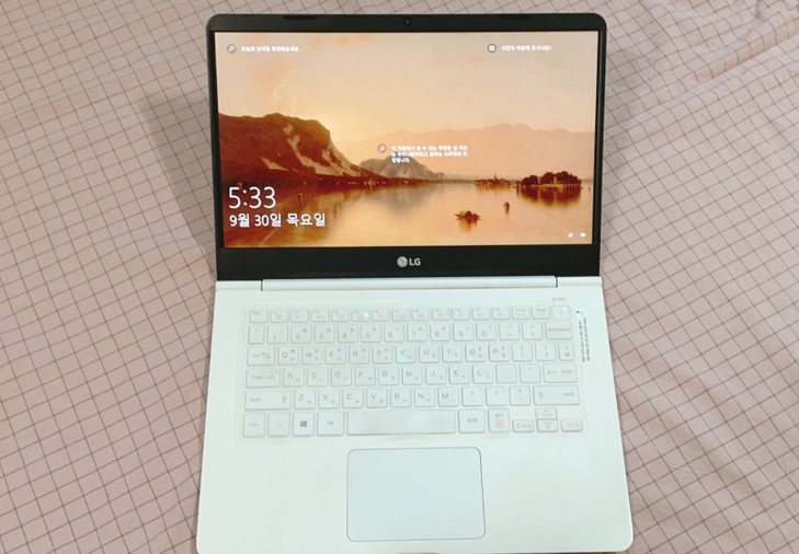 느려진 LG 그램 윈도우10 초기화하기 (14Z960-LR10K)