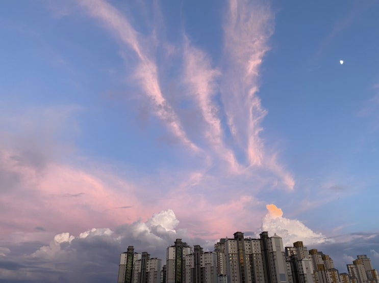  전주고수님들 전주의 숨은 맛집 추천해주세요