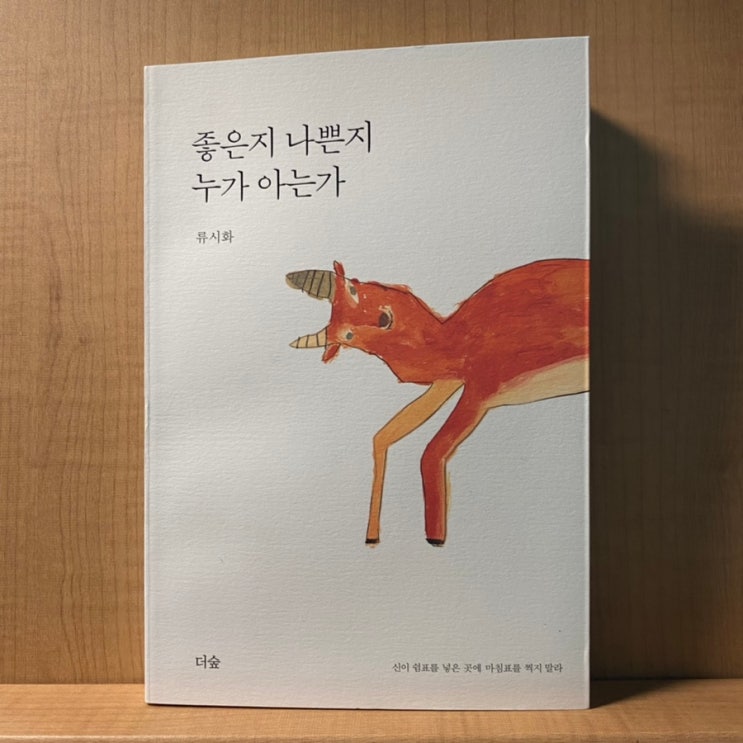  (책 글귀/에세이) 좋은지 나쁜지 누가 아는가_류시화_(1)