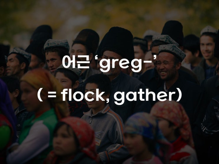  [어원으로 어휘 확장하기] 어근 greg-