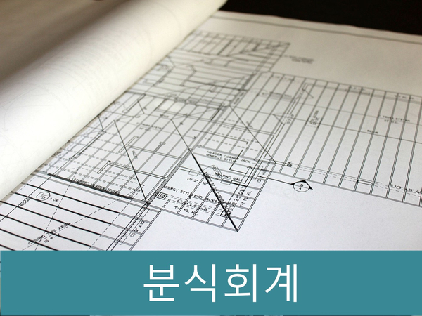  분식회계(회계부정) 적발 사례와 형사처벌