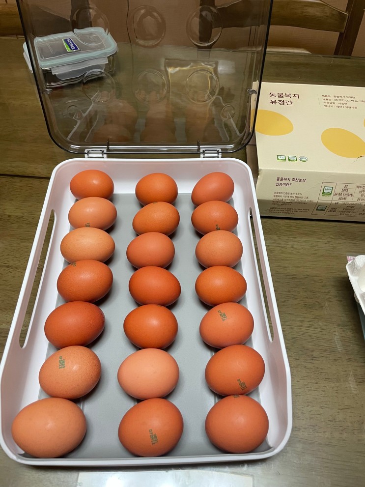 [고객님 리얼리뷰]  계란 달걀 에그 박스 트레이 케이스 보관함 정리함