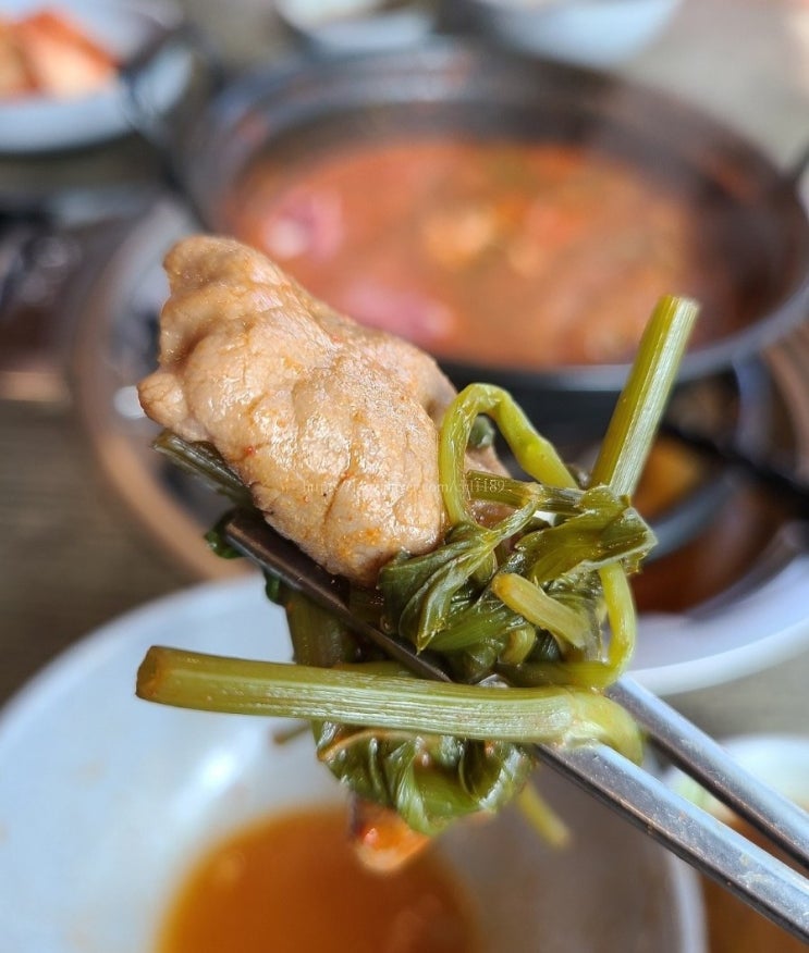  등촌샤브칼국수 소고기 샤브샤브 의정부 맛집 추천