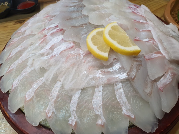  제주도 서귀포 현지인 횟집 맛집 나원회포차