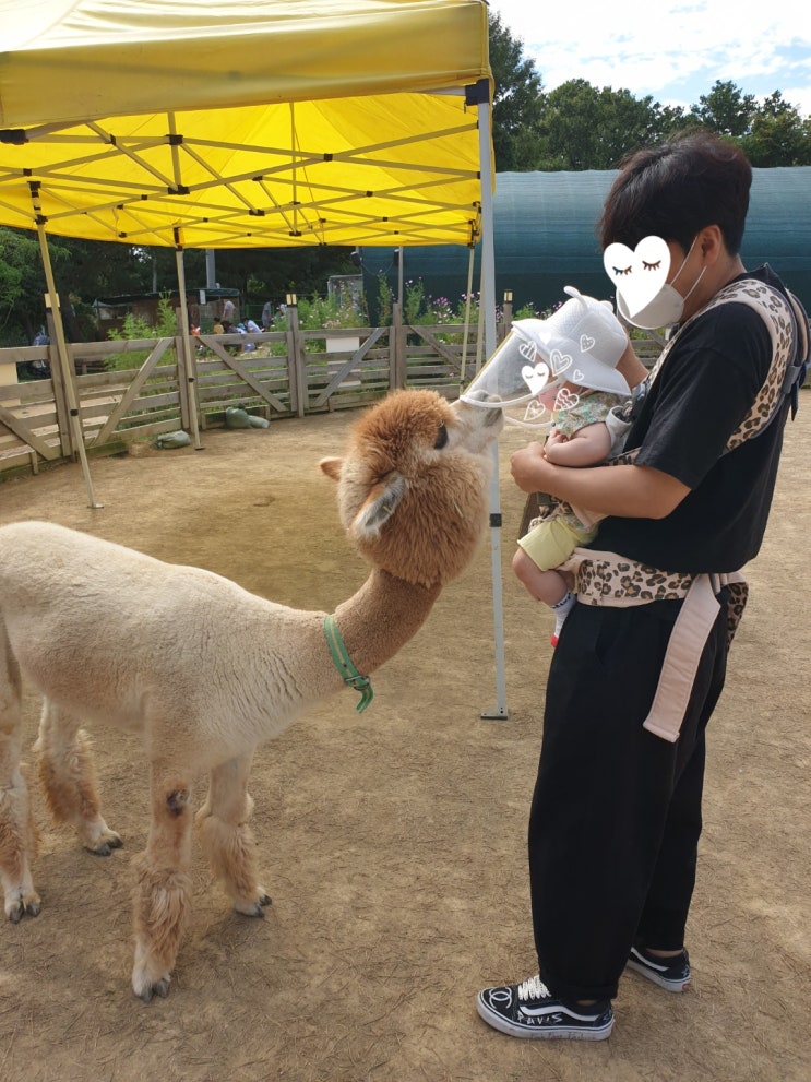  남양주스머프곤충나라아기와함께곤충동물체험
