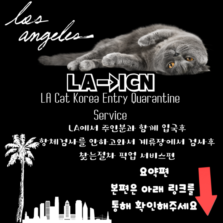  미국LA 엘에이 에서 고양이 강아지 한국데려오기 검역 항체검사 계류