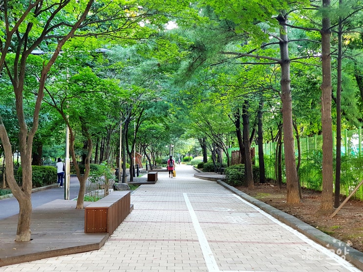 일상에 찾아든 도시숲 고양의 도심숲을 즐기다 일상에 찾아든 도시숲 고양의 도심숲을 즐기다