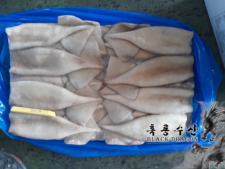  중국산 냉동오징어 튜브 (살오징어 바이나) _ Feat. 흑룡수산