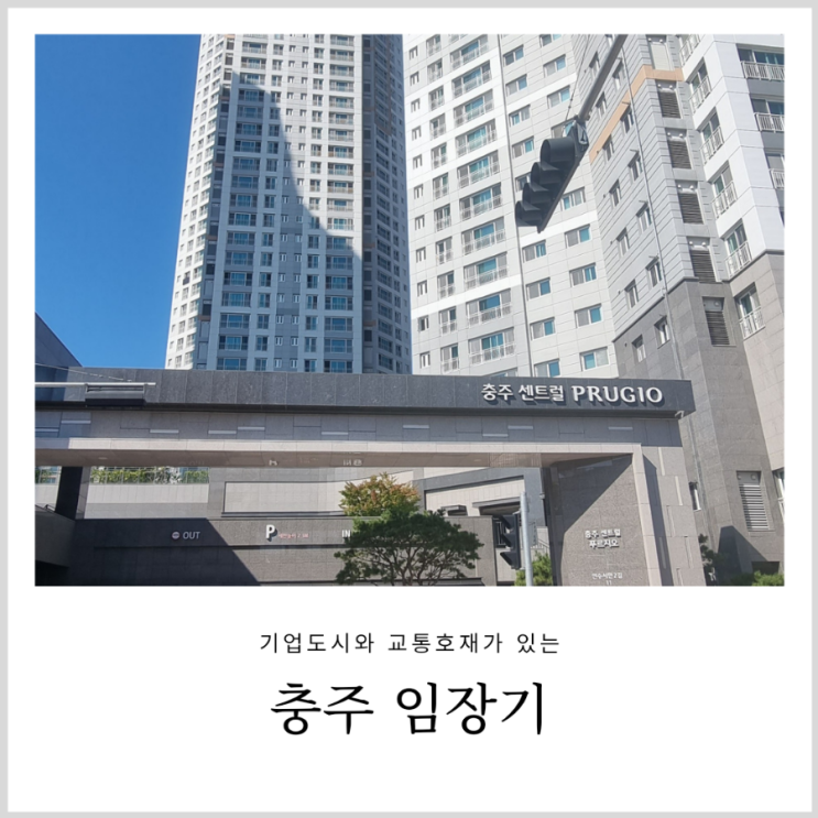 충주임장기 충주임장기