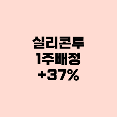 [공모] 삼성증권 실리콘투 1주 배정 +36.81%