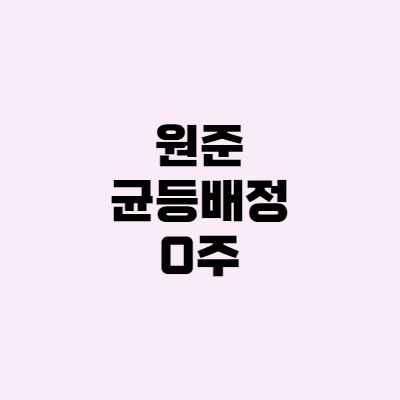  [공모] 원준 균등 배정 0주