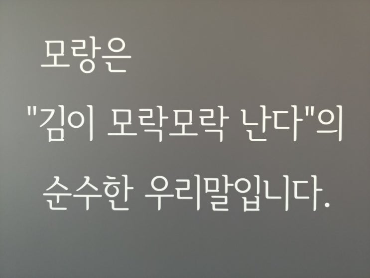  정발산역맛집 웨돔맛집 모랑솥밥