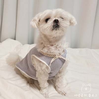 두부를 위한 강아지 옷 만들기 ft. 코지독 애견옷 DIY