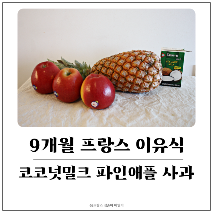  [9개월 아기 프랑스 이유식] 코코넛밀크, 파인애플, 사과 갈아서 스무디 만들기