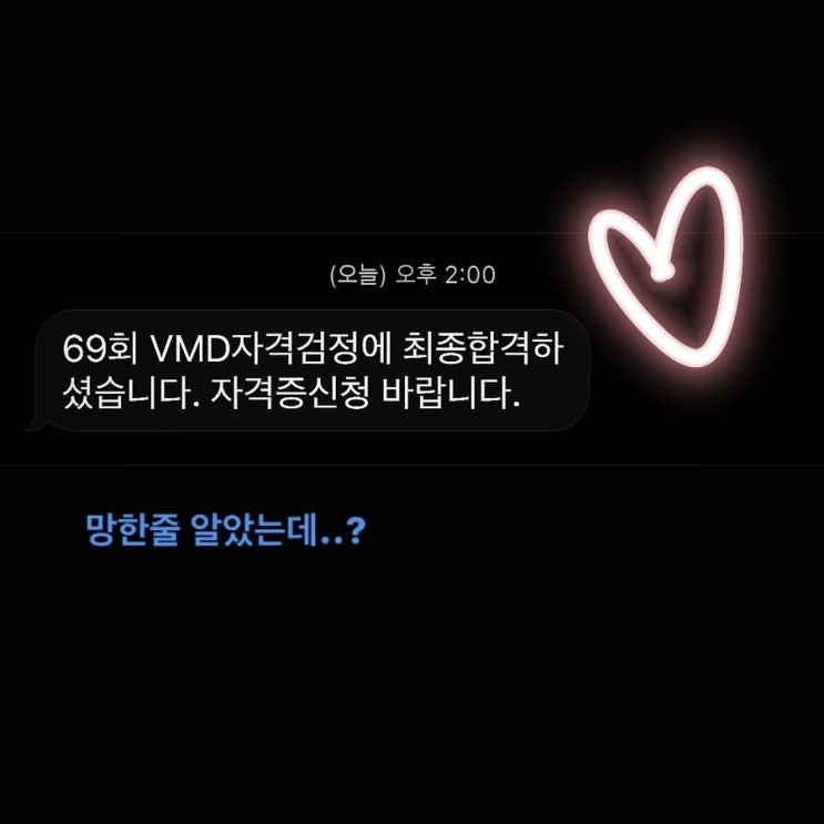  [VMD자격증] 최종합격