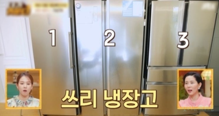 채림 남편 집 아파트 어디 냉장고가 세 개나 되는 성동구의 럭셔리 아파트 위치