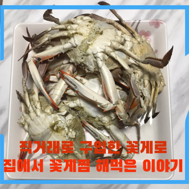  꽃게 손질법과 꽃게 찌는 법을 알아보고 집에서 맛있게 꽃게찜 해 먹은 이야기