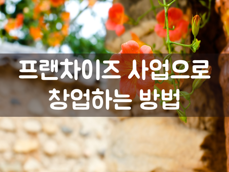  프랜차이즈 사업으로 창업하는 방법