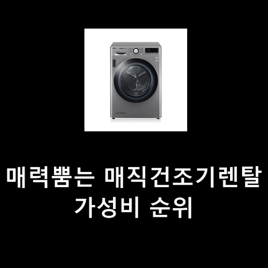 매력뿜는 매직건조기렌탈 가성비 순위 매력뿜는 매직건조기렌탈 가성비 순위