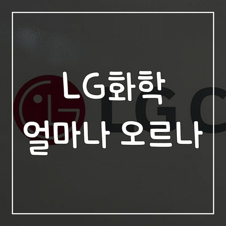  LG화학 주가 전망 / 호재 / 가치투자 / 전기차 배터리(2차전지) 대장주